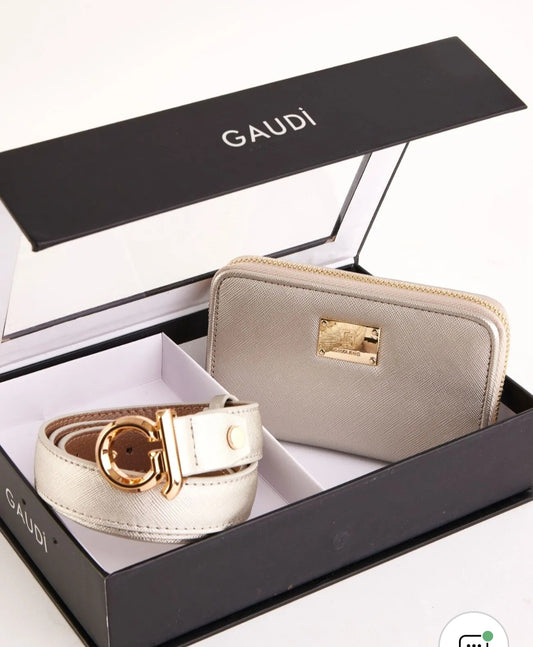 Set Gaudì V5AE12260 argento